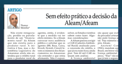 Meu artigo de terça no Jornal do Commercio (22/10)