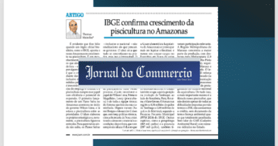 Meu artigo no Jornal do Commercio (04/11) Meu artigo no Jornal do Commercio (04/11)