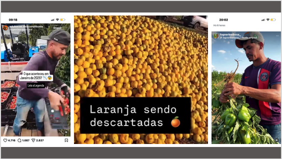 Comida no lixo, política no comando