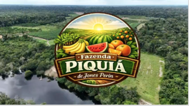 Um dos maiores plantios de banana pacovã. Faça seu pedido!