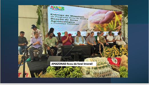 CONAB: O Nordeste colhe, o Amazonas assiste: até quando?