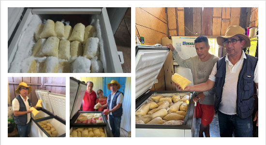 Toneladas de POLPA sem mercado no Amazonas. Segue contato…