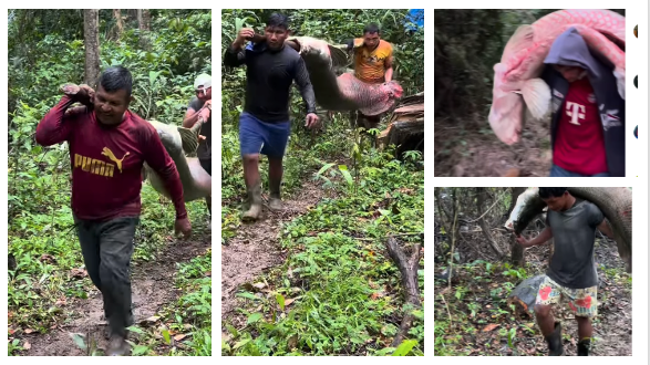 Sigo aguardando a posição de Tadeu, David e Maria do Carmo. Sobre Omar, eu já conheço…