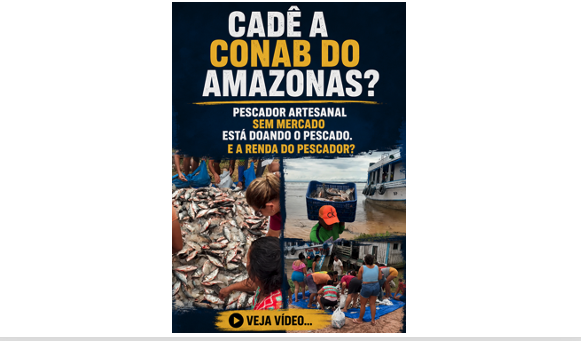 Cadê a Conab do Amazonas? Pescador artesanal sem mercado está doando o pescado. E a renda do pescador? Veja vídeo…