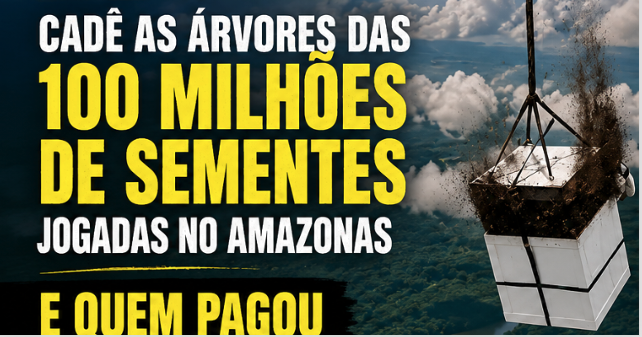 4 ANOS DEPOIS: Cadê as árvores das 100 MILHÕES DE SEMENTES jogadas no Amazonase QUEM PAGOU ESSA CONTA?