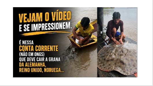 Vejam o vídeo e se impressionem. É nessa conta corrente (não em ONGs) que deve cair a grana da Alemanha, Reino Unido, Noruega…