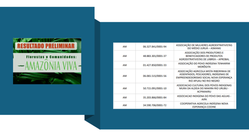 Conheça os SETE grupos formais do Amazonas