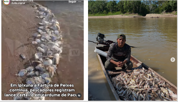 O silêncio político, da Conab e de lideranças pesqueiras é assustador…