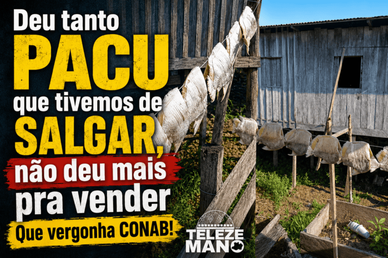 “Deu tanto PACU que tivemos de SALGAR, não deu mais pra vender”. Que vergonha CONAB!