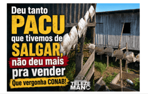 “Deu tanto PACU que tivemos de SALGAR, não deu mais pra vender”. Que vergonha CONAB!