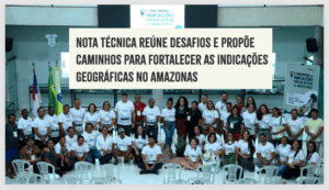 Nota DEZ para essa Nota Técnica. Deveria ser lida pelos candidatos ao GOVERNO do AMAZONAS