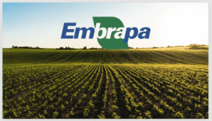 Embrapa apresenta tecnologias na 48ª Exposição Agropecuária do Amazonas