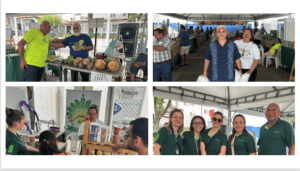 Fiz a feira comprando das cooperativas do AGRO (fotos)
