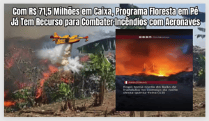 Com R$ 71,5 milhões em caixa, Programa Floresta em Pé já tem recurso para Combater Incêndios com Aeronaves.