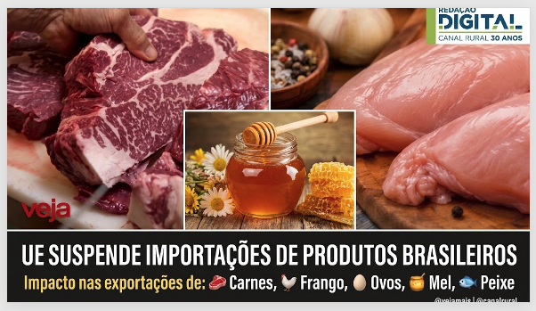 Verniz ambiental e sanitário é usado pela Europa para travar o Brasil, e no Amazonas..