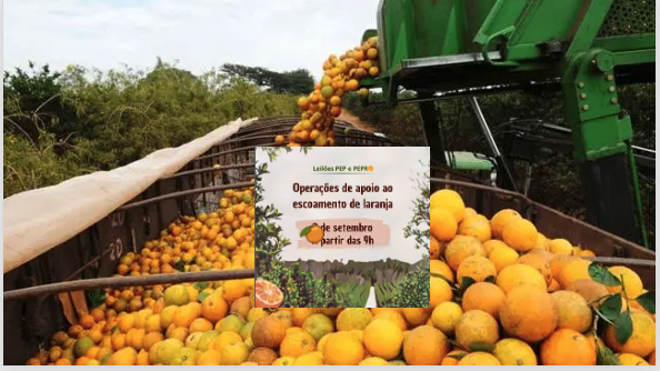 Governo Lula apoia produtores de LARANJA, mas esquece os pescadores do Amazonas no momento de SAFRA. Cadê a CONAB?