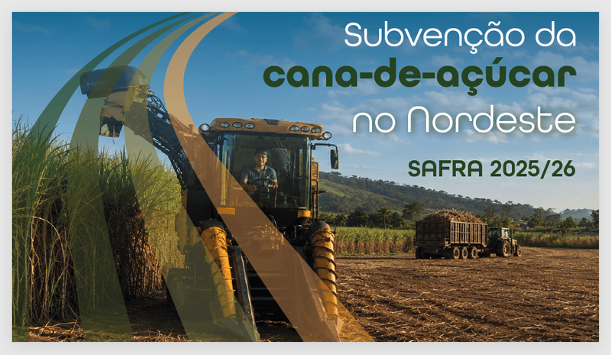 Governo Lula só beneficia o Nordeste com a subvenção ao CULTIVO da Cana de Açúcar. Norte de fora!