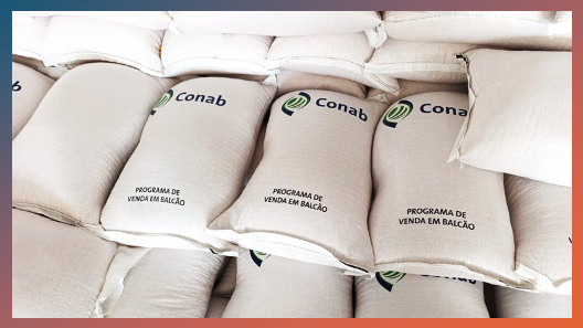 Criador rural do Amazonas tem participação menor que 1% na compra de milho da CONAB