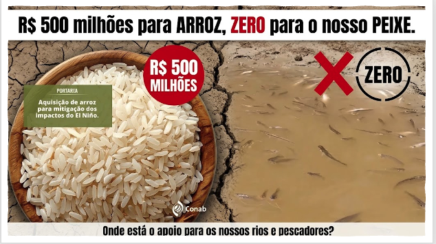 Poxa Lula! R$ 500 milhões para ARROZ, ZERO para o nosso PEIXE