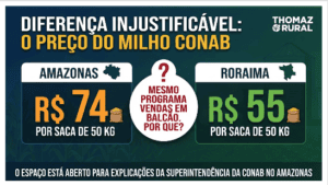 Por que o milho da Conab é R$ 19,00 (por saca) mais caro no Amazonas do que em Roraima?
