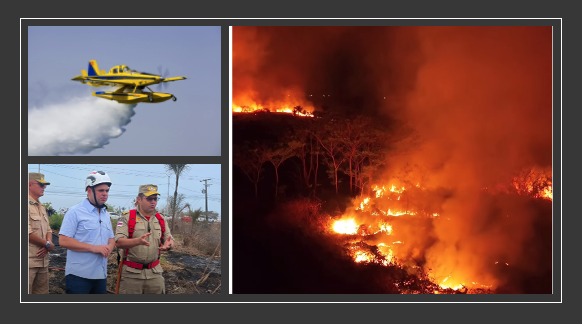 Ong FAS diz que recurso alemão não pode contratar aeronave para apagar incêndios; eu discordo: o planejamento falhou e a prioridade é salvar vidas
