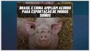 Exportação de MIÚDOS de SUÍNOS para China