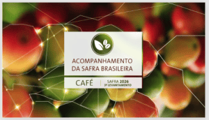 Amazonas tem o maior crescimento percentual na produção de café do Brasil (Café Conilon)