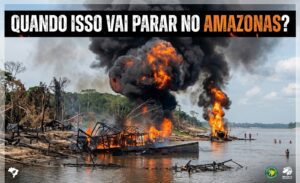 Combater crime ambiental com mais dano ambiental é burrice e incompetência