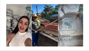 Vejam o destino das 500 sacas de cacau da Cooperativa COOPERAR. Assim que eu gosto…
