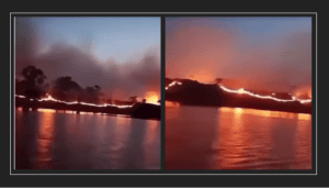 Cadê o avião para apagar incêndios na FLORESTA?