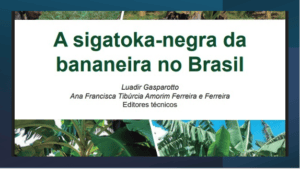 EMBRAPA lança publicação técnica sobre a sigatoka-negra da bananeira no Brasil
