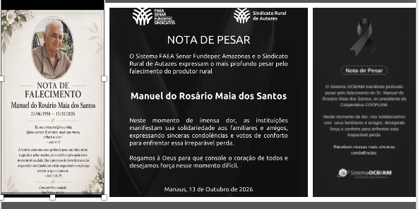 NOTA DE PESAR 🌱