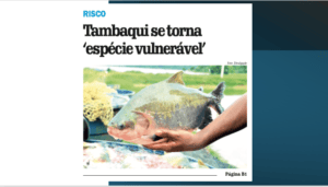 Será verdade? Matéria do JC