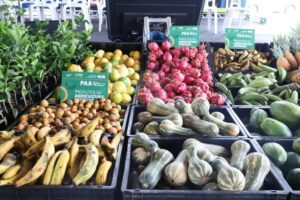 Editais do Governo do Amazonas visam compra de 1,6 mil toneladas de alimentos pelo PAA e credenciamento de entidades socioassistenciais