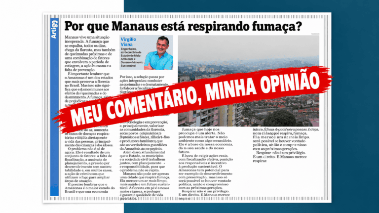 Meu comentário sobre esse artigo do titular da ONG FAS